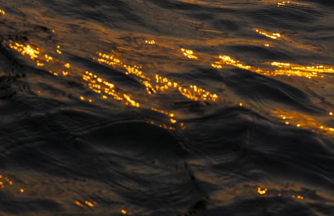 Marvel Cruise - Foto 42