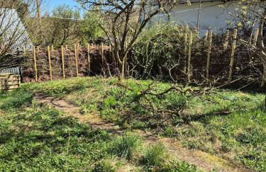 Naturnahes Wohnen in einem alten Haus mit Garten - Foto 16