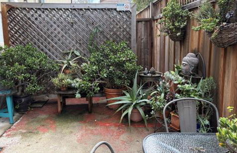 Modern & Open 2BR in Rockridge, Highly Walkable on Oakland Berkeley Border - Foto 28