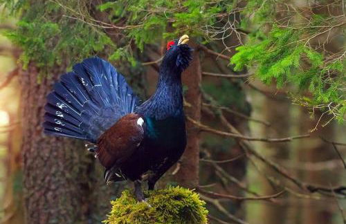 Studio tout confort - Foto 46