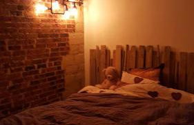 Appartement lumineux cosy avec balcon - Foto 4
