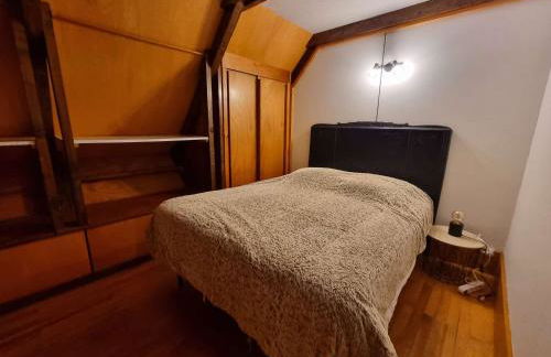 Chalet 5 personnes, proche ski et rando, balcon sud, TV, lave-linge - FR-1-393-165 - Foto 3