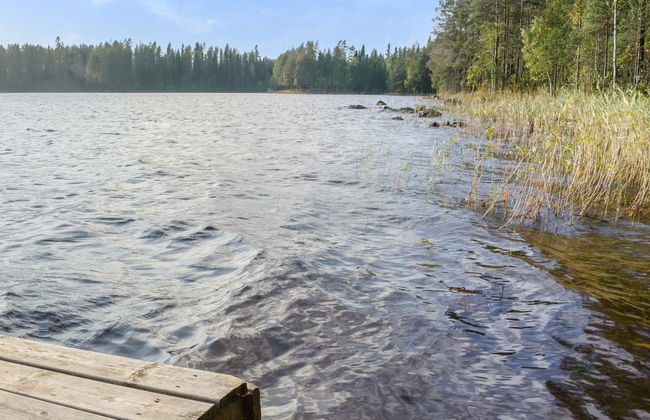 Kissankello - Foto 8