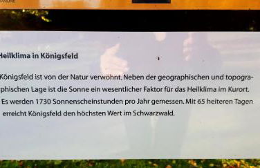 Apartment Schwarzwald-Anni Pool Tennis Sauna - Foto 56