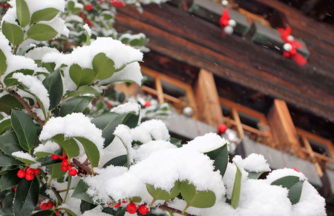 LuxLax 2. OG Süd - Foto 52