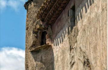 Château Villemagne - Foto 16