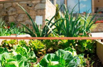 Casa das Letras - Turismo rural - Foto 43