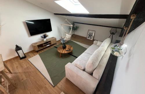 Louis XIV, Le Somail. - Foto 23