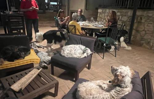 SetterHouseAgriHotel - Photo 6