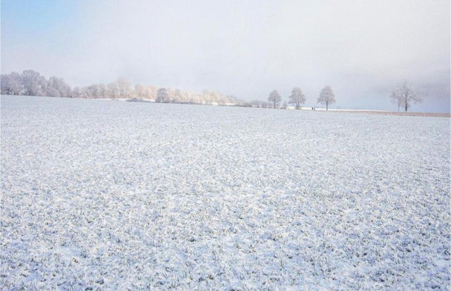 Wohnung in Densberg Nahe Kellerwald - Foto 37