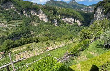 Agriturismo Orrido di Pino - Foto 4