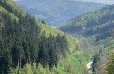 Haus am Sonnenberg,Todtnauberg, Ferienwohnung 105, direkt am Skilift-Skipiste, Nähe Feldberg - Foto 30
