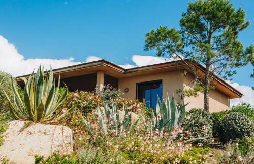 Résidence Les Terrasses de Rondinara - Foto 68