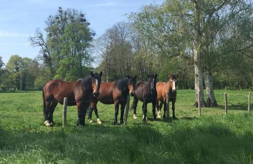 Gîte "Rêves de Gamins", proche du pôle Européen et du circuit des 24h - Foto 52