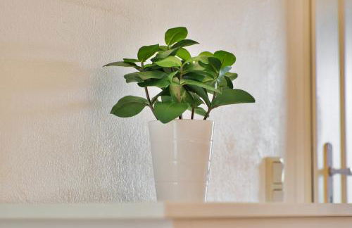 Bauernhofurlaub bei Familie Bokeloh - Foto 29