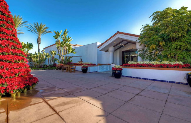 Southern Exposure w/ Private Balcony - Foto 30