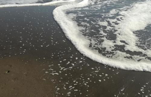 Agriturismo cavallin del papa - Foto 22