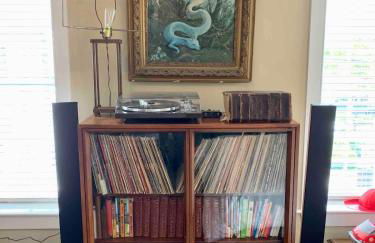 Unique Luxury Central Historic Landmark Home - Foto 79