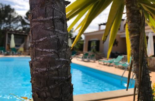 Casal das Oliveiras - Foto 20