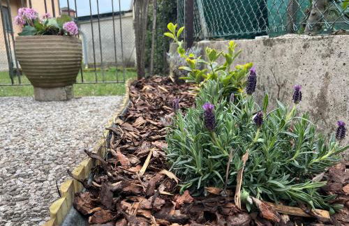 BloomHouse - apartment - Foto 14