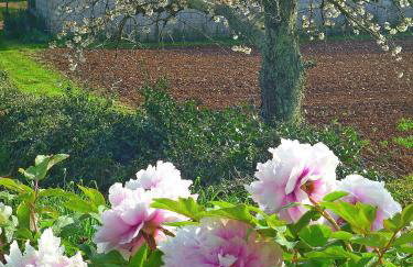 Holiday house with a parking space Sinozici, Central Istria - Sredisnja Istra - 11629 - Photo 7