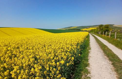 La Maison Des Caps AU BLANCNEZ - Foto 47