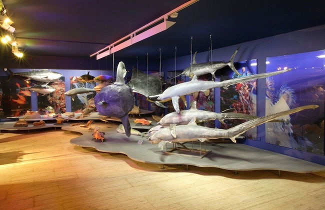 Napa City Apartments - Foto 80