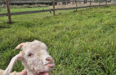 Villa Fleurie - Foto 4