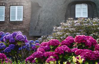 Appartementhaus Lüüvhoog - Photo 15