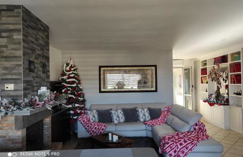 Cactus house - Foto 62