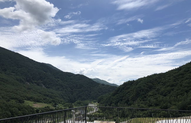 Pine Forest - Photo 42