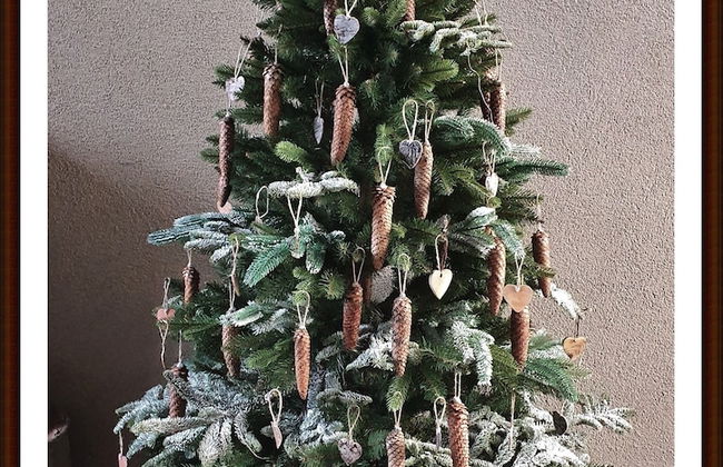 Kolev Apartments - Foto 8