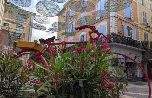 Gîte Le Bosquet - Au cœur du Luberon - Photo 15