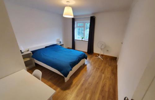 5 bedroom, recently renovated house close to Hastings Beach - Foto 9