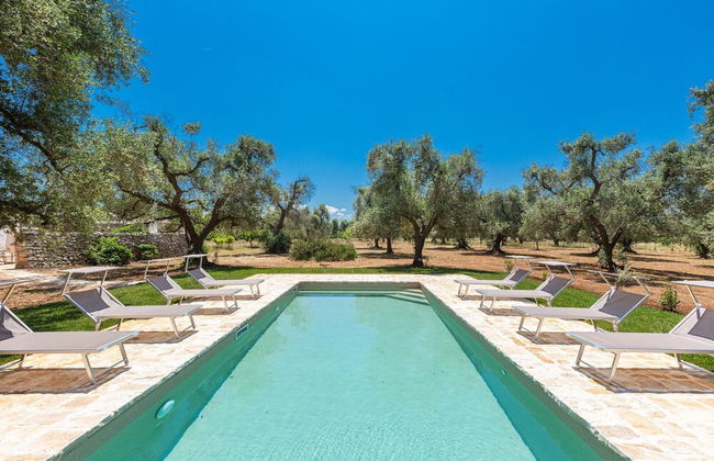 2771 Uliveto Valeria - Trullo Palma by Perle di Puglia - Foto 36