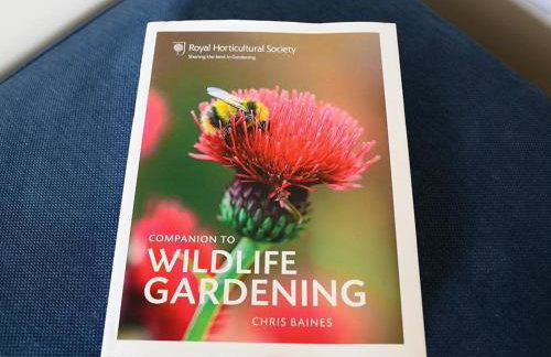 Court Hayes Farm Barns - Foto 23