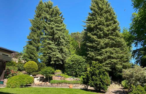 Odenwald Chalet - Foto 22