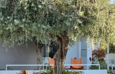 Thassos OLIVIA RESORT - Foto 69