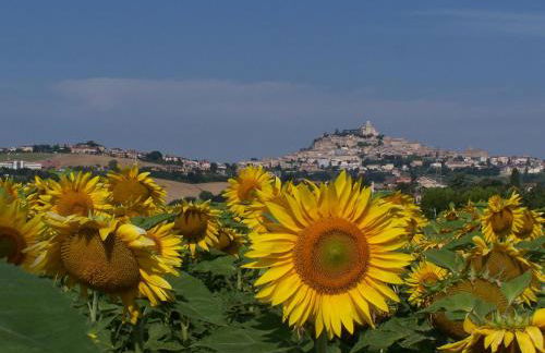 Agriturismo La Corte - Foto 50