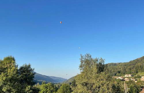 Le colibri au pied des ballons des Vosges - Foto 6