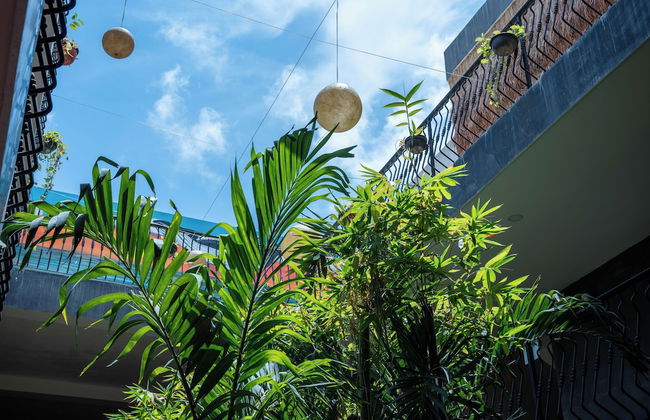 Calea Tulum - Photo 39