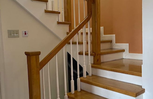 Montego Bay-Island Escape-Free-Shuttle - Foto 19