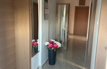 Deluxe apartman Mimi Viskovo with a free parking space - Photo 11