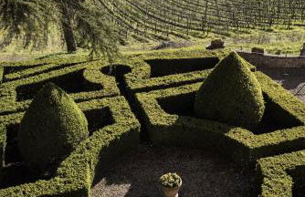 Casa Ruffino - Wine Relais - Foto 83