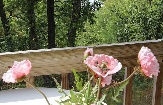 Tanglwood Resort - Photo 3