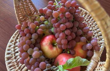 Ruhige Ferienwohnung auf dem Delcherhof in der Mosel-Weinregion - Foto 27