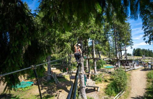 Ferienwohnungen Hirschen - Foto 66