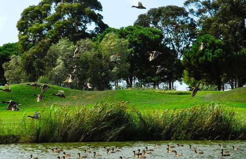 Emporda Golf 28 2-1 - Foto 7