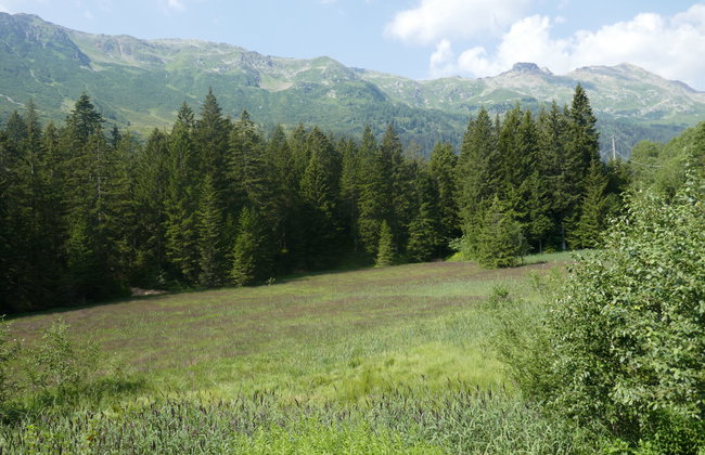 Zenkei - Foto 26