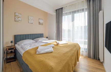 Sand Dunes, Sun & Snow - Foto 39